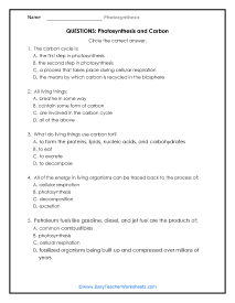 Carbon Question Worksheet