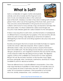 What is Soil Worksheet