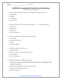 Industrial Beef Production Question Worksheet