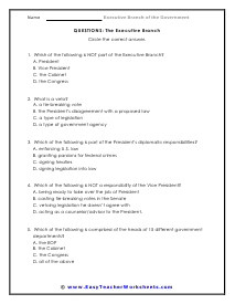 The Executive Branch of Government Worksheets