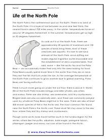 Life at the North Pole Worksheet