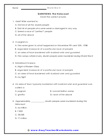 Holocaust Question Worksheet