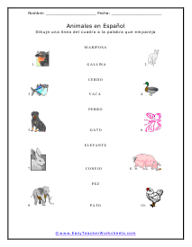 Spanish Noun Worksheet