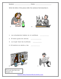 French Picture Sentence Worksheets