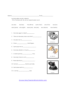 Spanish Number Worksheet